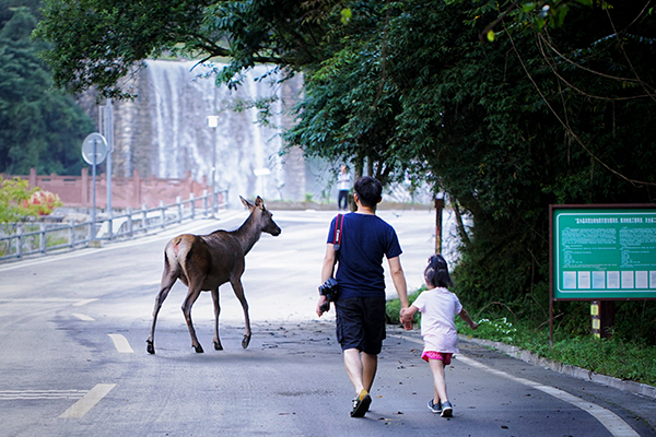 图片默认标题_fororder_人与自然同在（二郎山喇叭河景区-供图）