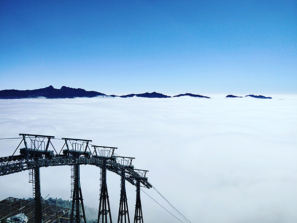 图片默认标题_fororder_1