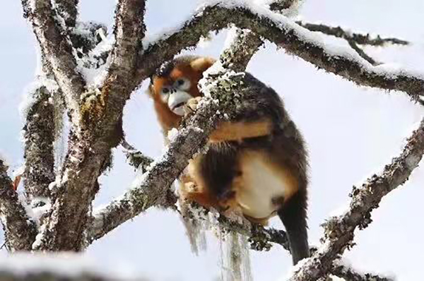 图片默认标题_fororder_333