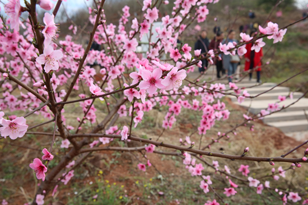 图片默认标题_fororder_meili