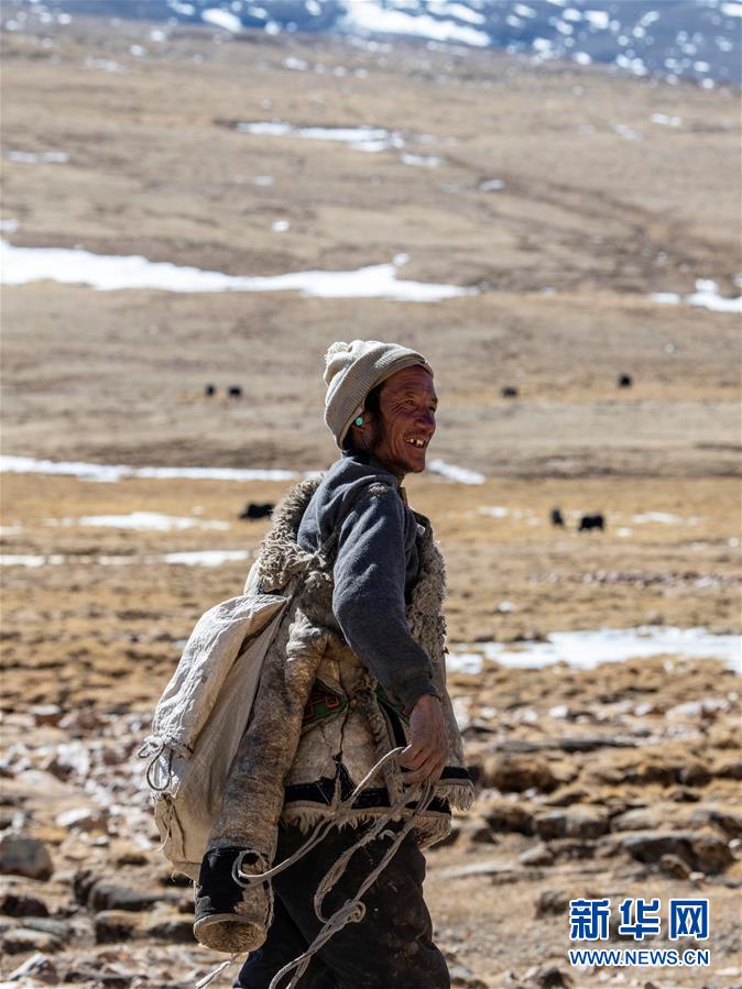 「新华网」珠峰脚下的冬季牧场