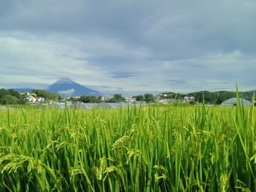 2020年10月7日放送のお便り紹介