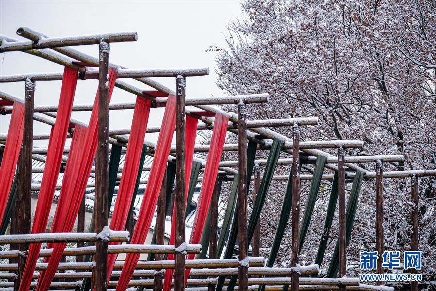 浙江桐乡:千年古镇变身“江南雪乡” 浙江桐乡:千年古镇变身“江南雪乡”