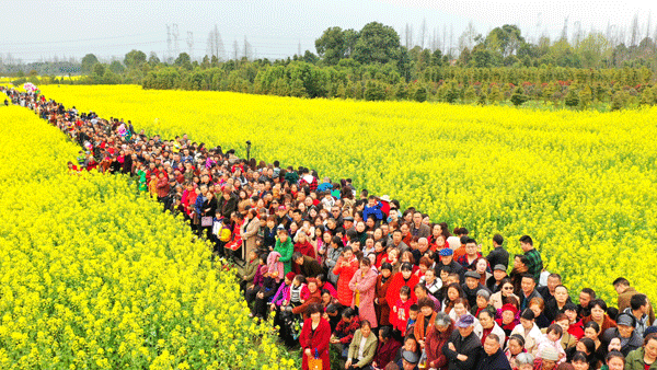 图片默认标题_fororder_3