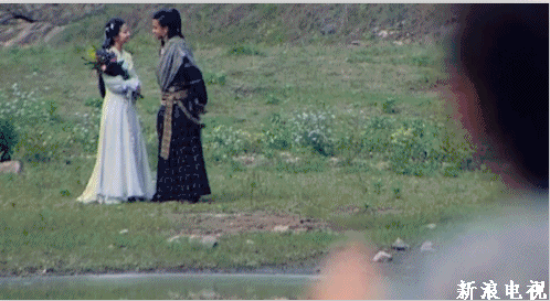 仙剑奇侠传 胡歌 标签