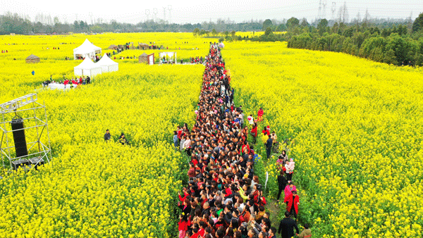 图片默认标题_fororder_5