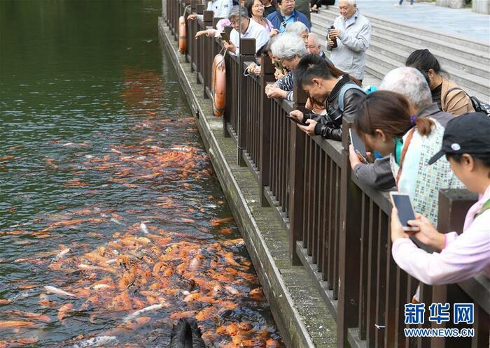 절강 臨安, 대자연이 선물한 청산녹수 절강 臨安, 대자연이 선물한 청산녹수_fororder_5