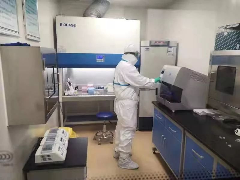 「央视新闻」何时能有疫苗？感染人数是否已到峰值？白岩松提问专