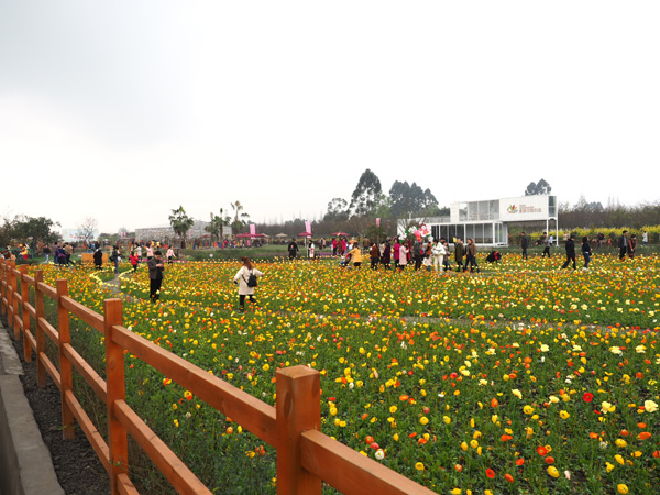 图片默认标题_fororder_微信图片_20190317131943