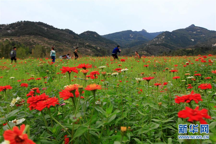 山东临沂：高铁进沂蒙 旅游增活力