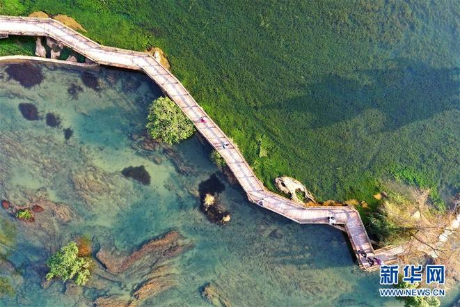 图片默认标题_fororder_1123776363_15433617793261n