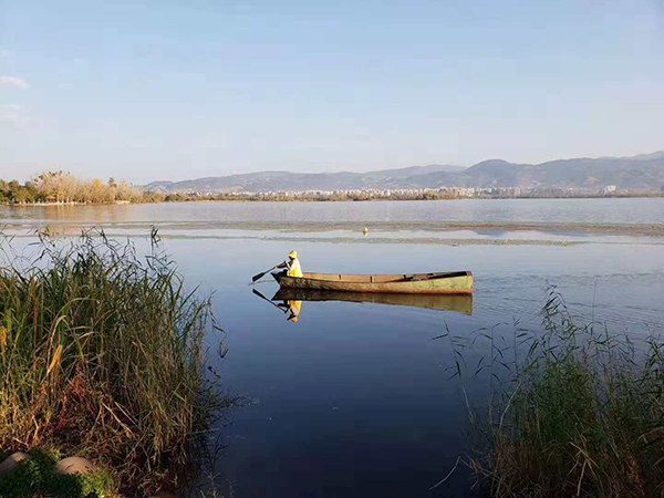 邛海湿地公园生态修复让西昌更宜居