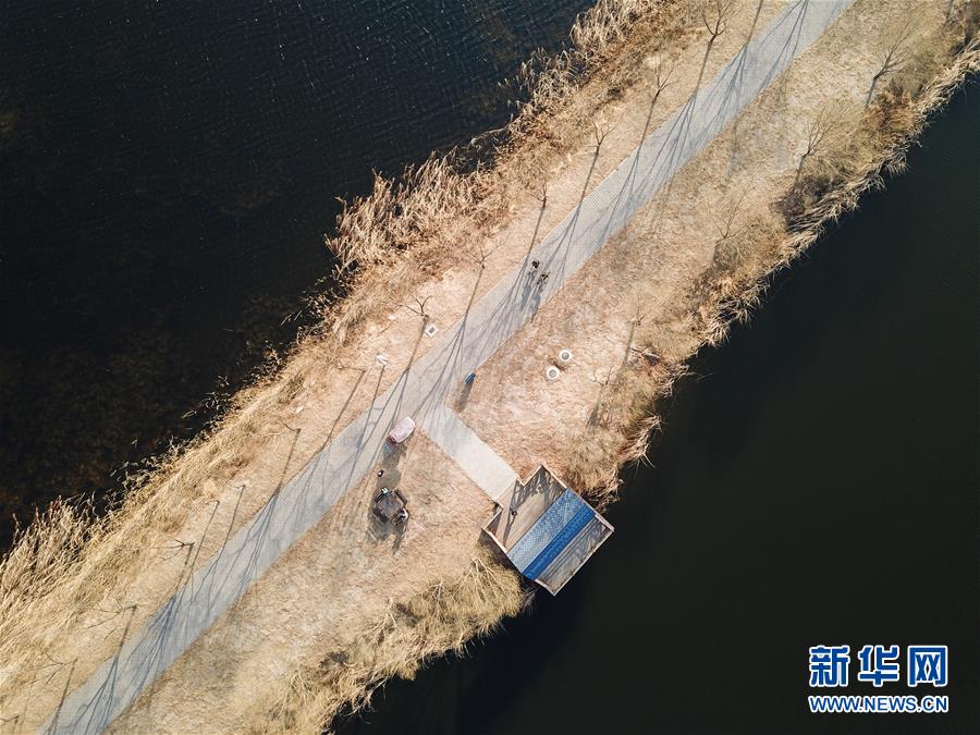 北京野鸭湖国家湿地公园开园迎客