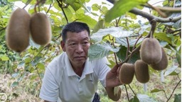 西班牙記者探訪中國果園：“科技+生態”是中國農民脫貧致富良方