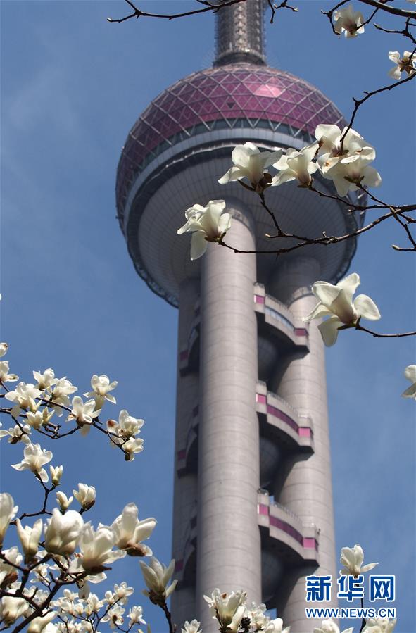 上海：花开春意暖