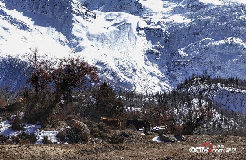 Glester di Bomi, Tibet Tiongkok_fororder_5