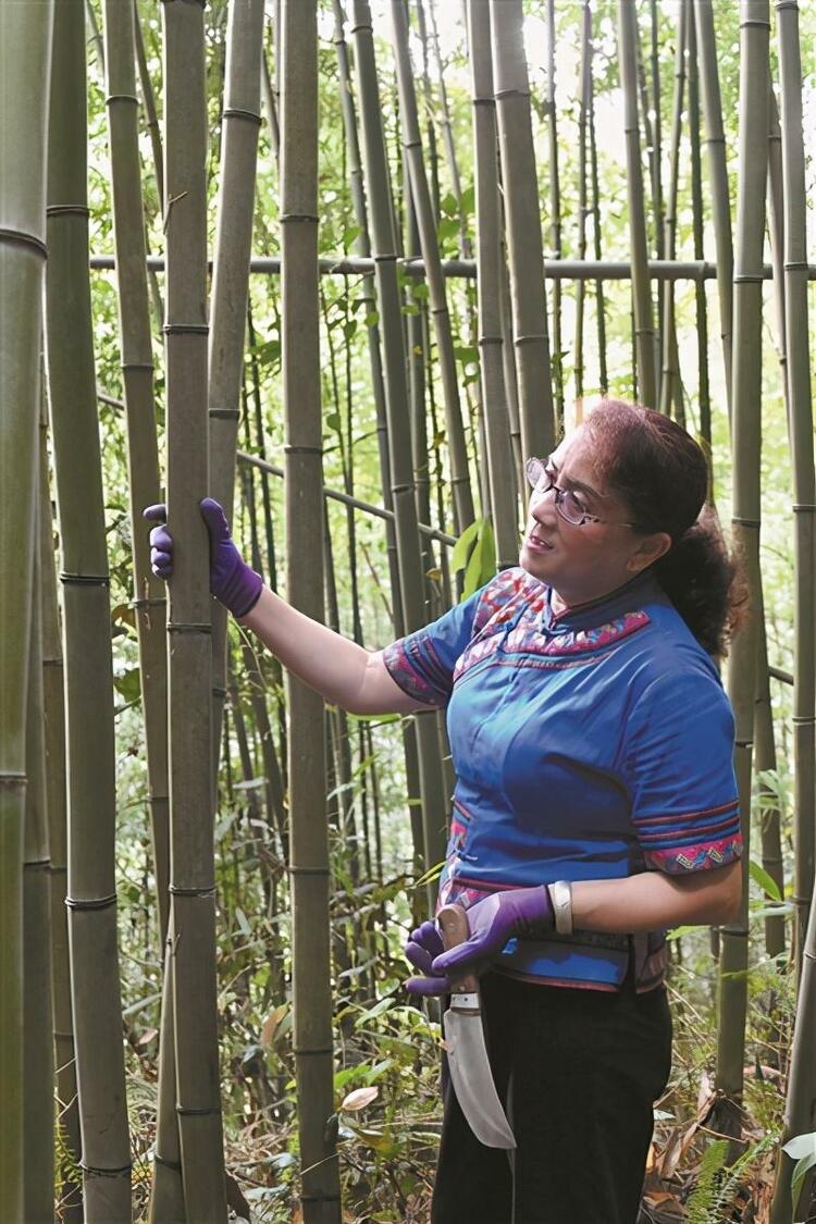 织好花竹帽 摘掉贫困帽 ——记国家级非遗传承人谭素娟