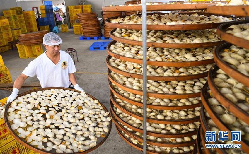 Kulit Jeruk yang Terkenal di Xinhui, Propinsi Guangdong, Tiongkok Selatan_fororder_a3