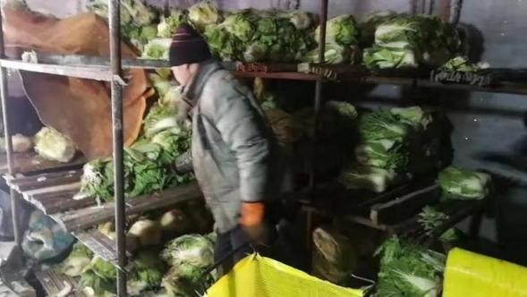 “每斤就卖1.1元”，哈尔滨这里的菜农卖平价大白菜，源于7年前的一段往事…