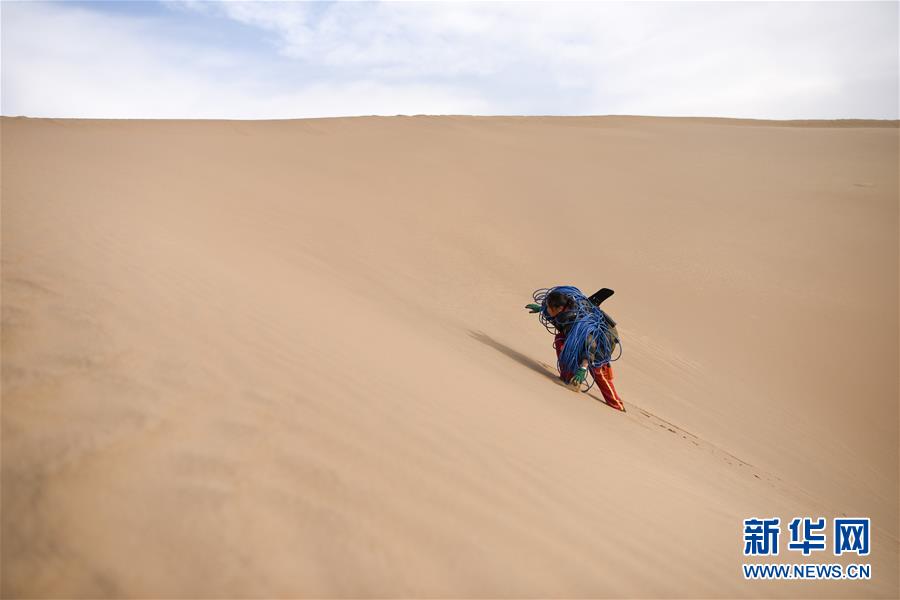 「新华网」【新春走基层】寒冬里，“沙漠玫瑰”犹自绽放