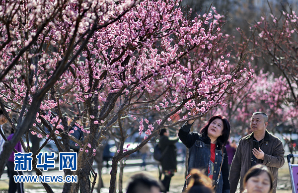 北京：春意盎然
