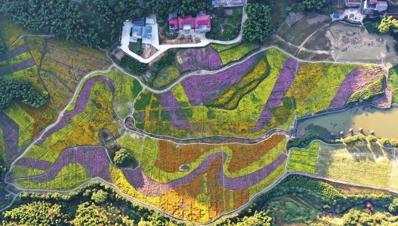 ทุ่งดอกไม้หลากสีที่เมืองหนานชาง มณฑลเจียงซี_fororder_多彩花海1