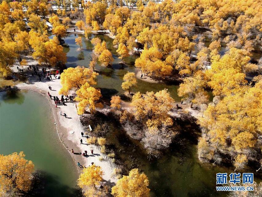 Tiongkok yang Memasuki Musim Gugur_fororder_musim9