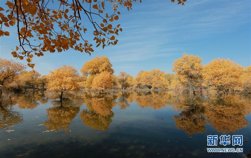 Tiongkok yang Memasuki Musim Gugur_fororder_musim7