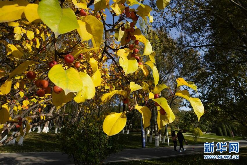 Tiongkok yang Memasuki Musim Gugur_fororder_musim2