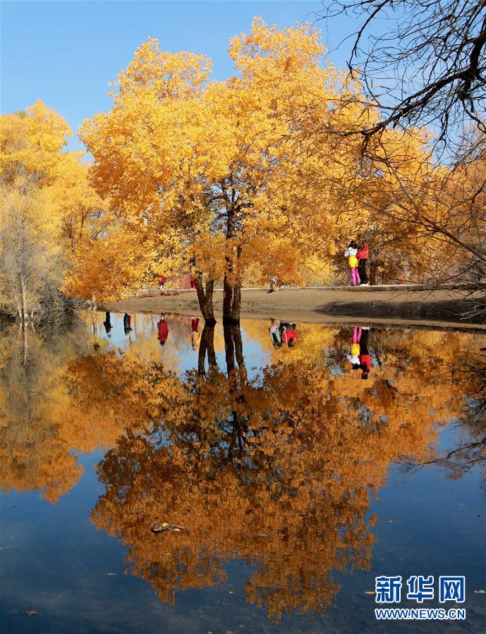 Tiongkok yang Memasuki Musim Gugur_fororder_musim8