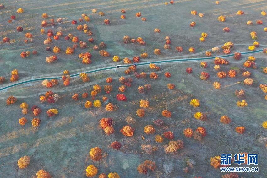 Tiongkok yang Memasuki Musim Gugur_fororder_musim11