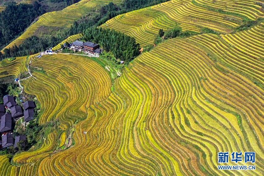 Tiongkok yang Memasuki Musim Gugur_fororder_musim4