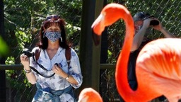 比利时疫情升温拉响警报 专家讨论再次封城可能性