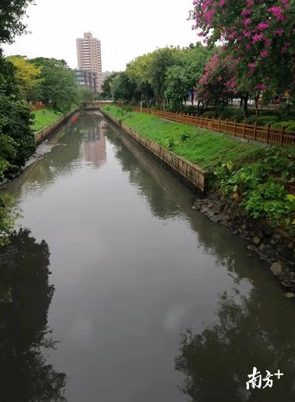 广州谋划建设1000公里“碧道”