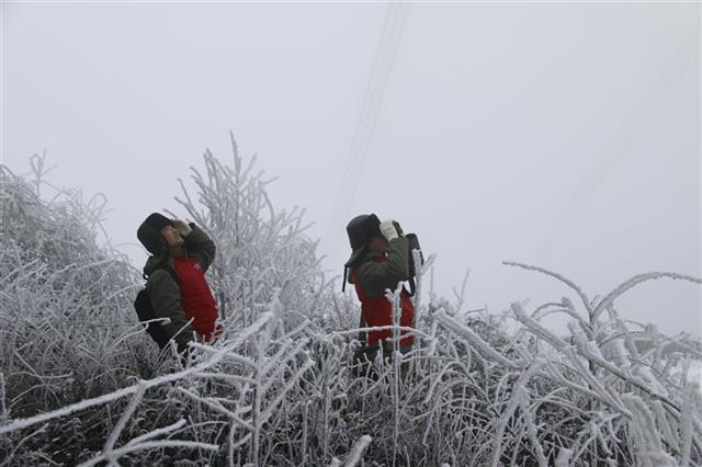 湖北电网度扛过2018年冬季首场雨雪考验