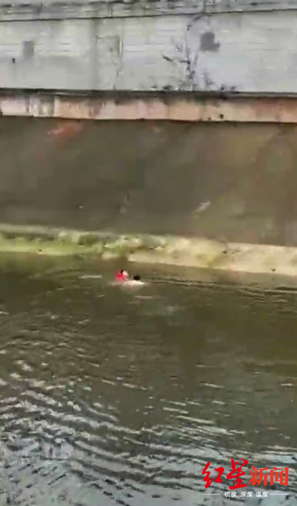 （导航宜宾，移动端）男童不慎落水 四川宜宾一驾校学员渡河救人视频被热传