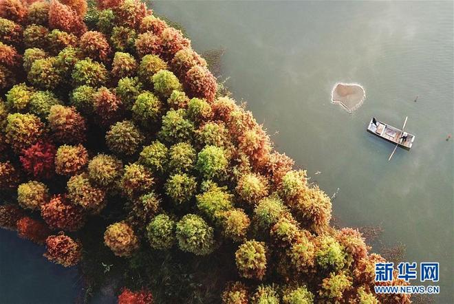 图片默认标题_fororder_hong