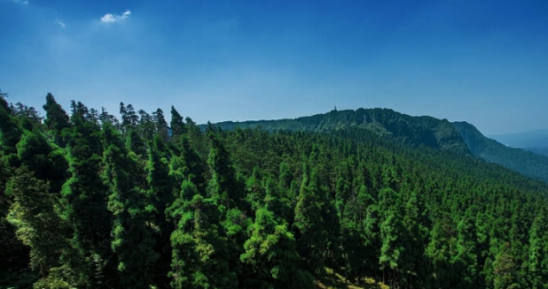 图片默认标题_fororder_6