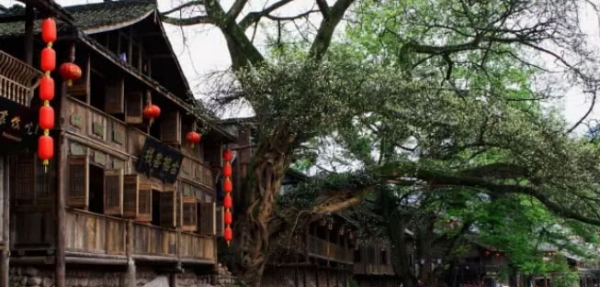 图片默认标题_fororder_5