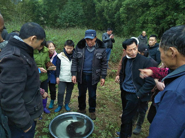 图片默认标题_fororder_热心村民认出“娃娃鱼”