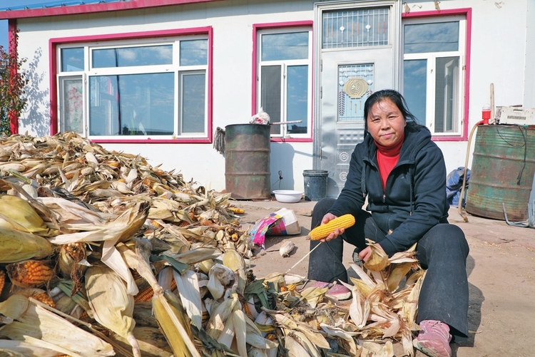 为了大地的丰收——吉林省松原市推进秋收工作纪实