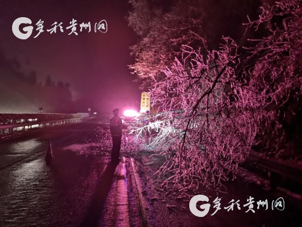 （社会）冰雪压倒树枝 路政员负伤清理 为司乘人员保驾护航