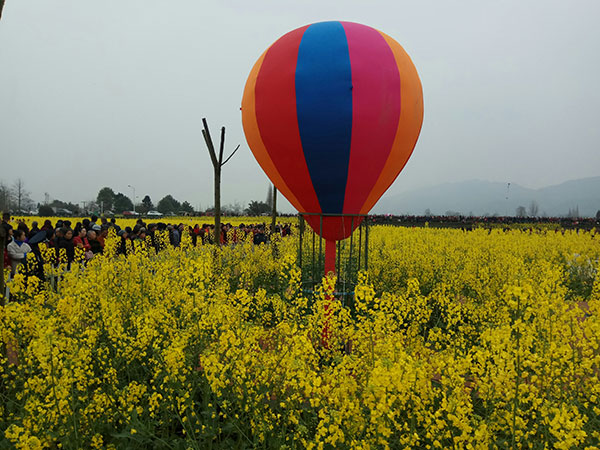 万亩花海5万亩林盘风光 成都彭州李花文化旅游节启幕