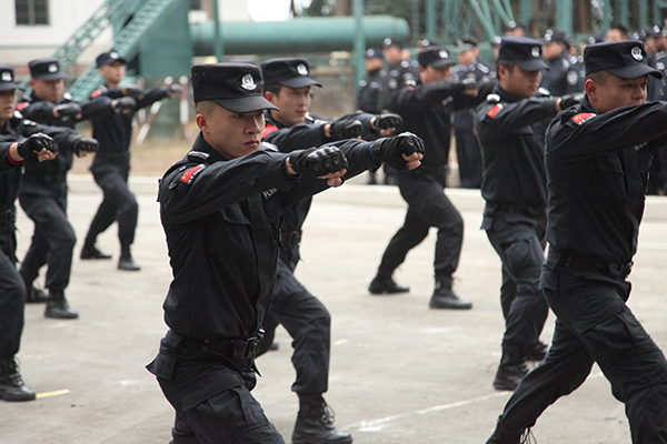 图片默认标题_fororder_擒敌拳表演(图-乐山市特巡警支队)