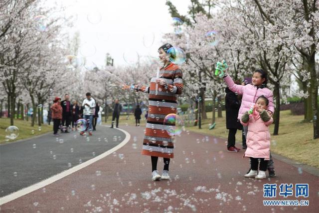 图片默认标题_fororder_J2-1