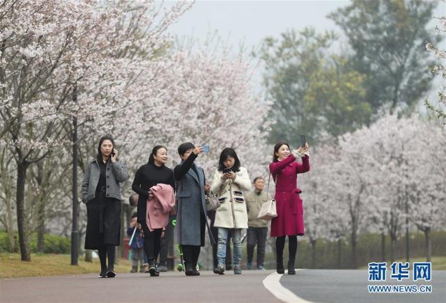 图片默认标题_fororder_J2-5