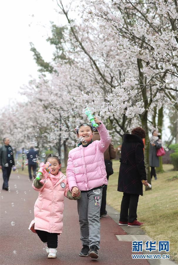 图片默认标题_fororder_J2-4