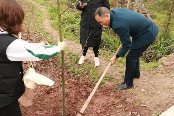 图片默认标题_fororder_1