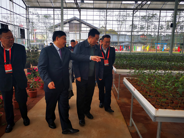 图片默认标题_fororder_陈宗懋调研川茶集团科技园智能恒温育苗中心--(摄影-陈忆）