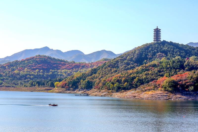 秋色撩人！北京“官宣”19处彩叶观赏区，不必扎堆儿去香山
